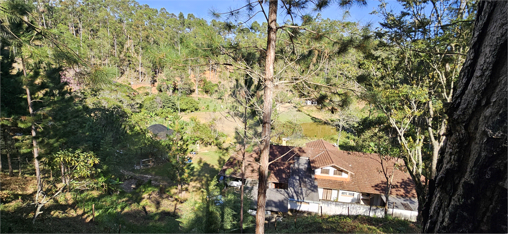 Sítio, 8 quartos, 31 hectares - Foto 37