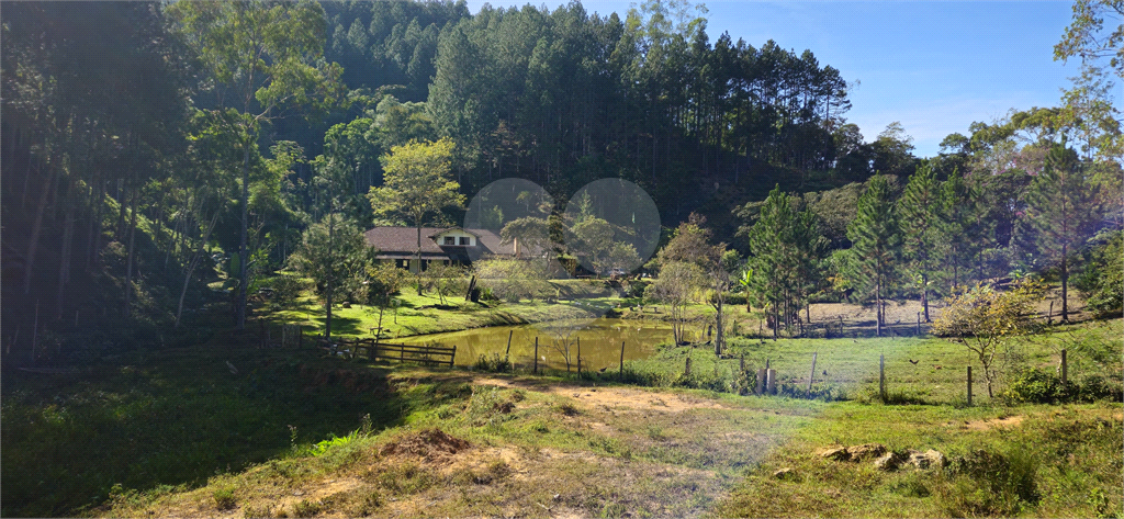 Sítio, 8 quartos, 31 hectares - Foto 26