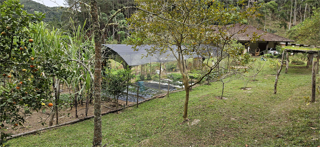 Sítio, 8 quartos, 31 hectares - Foto 51