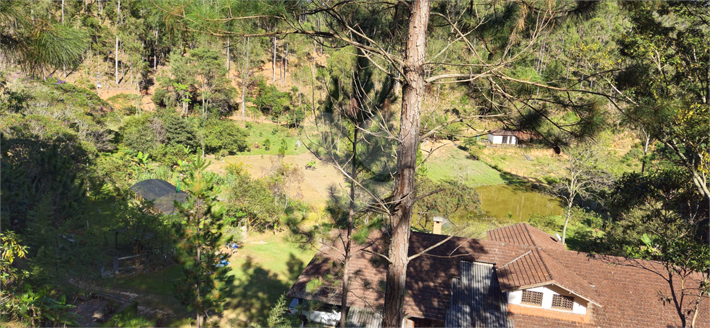 Sítio, 8 quartos, 31 hectares - Foto 33