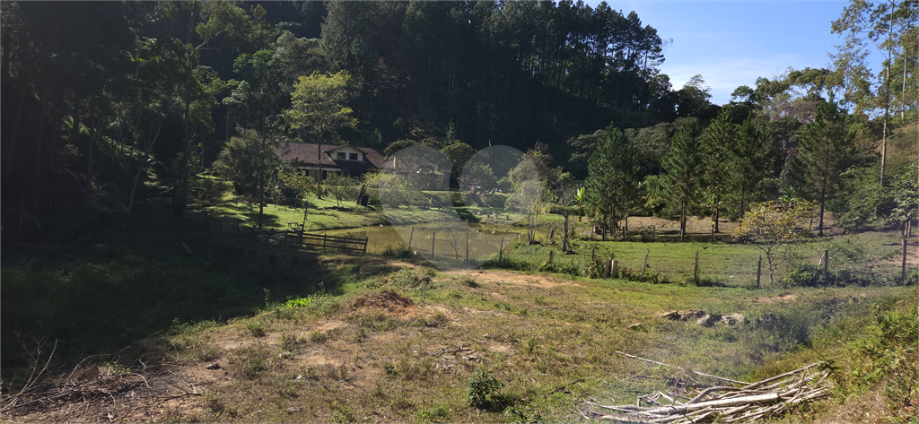 Sítio, 8 quartos, 31 hectares - Foto 27