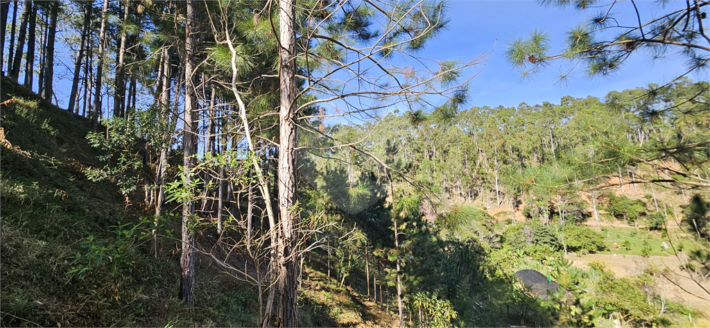 Sítio, 8 quartos, 31 hectares - Foto 38