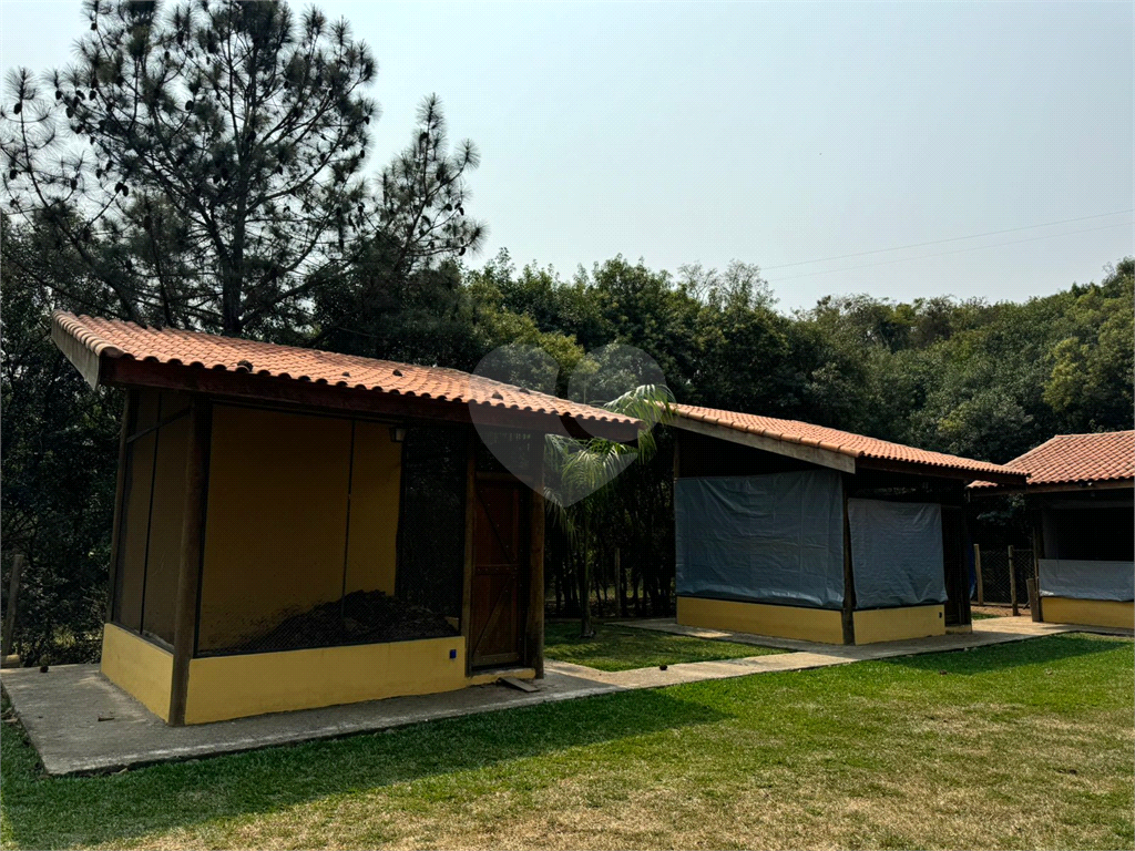 Sítio, 3 quartos, 5 hectares - Foto 9