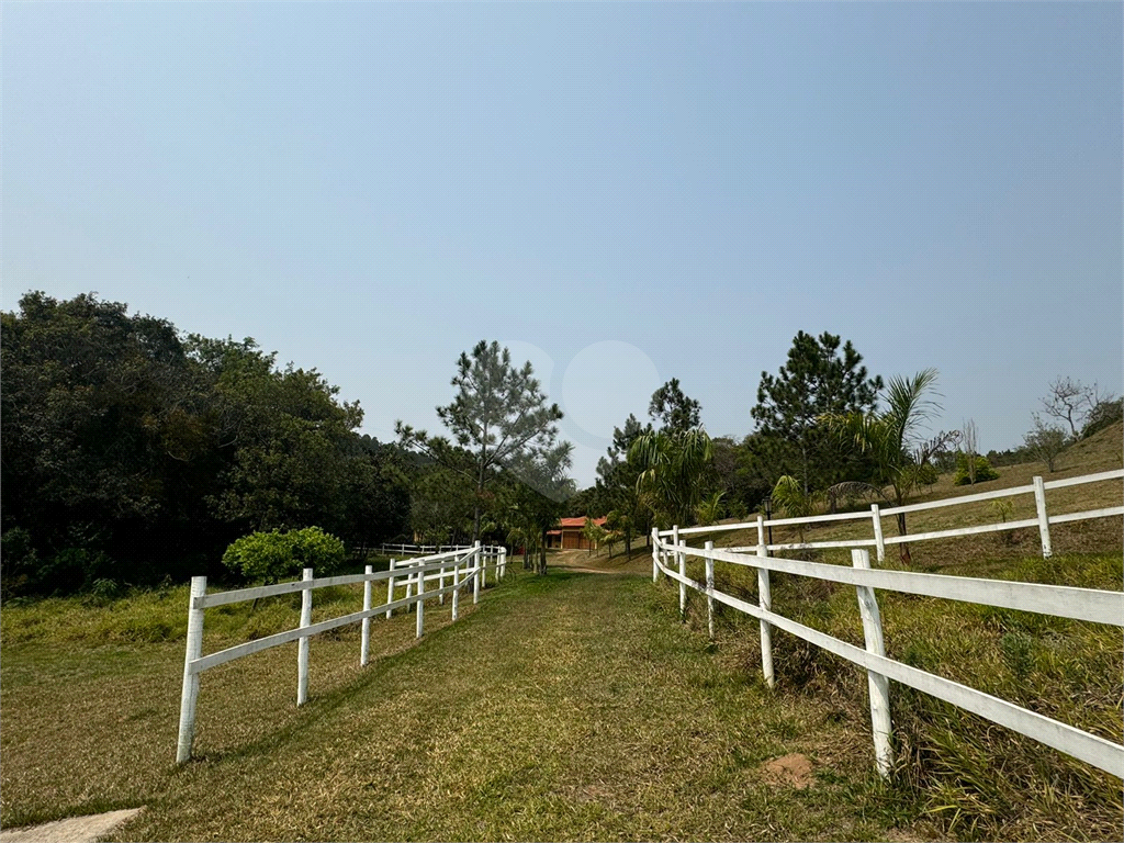 Sítio, 3 quartos, 5 hectares - Foto 12