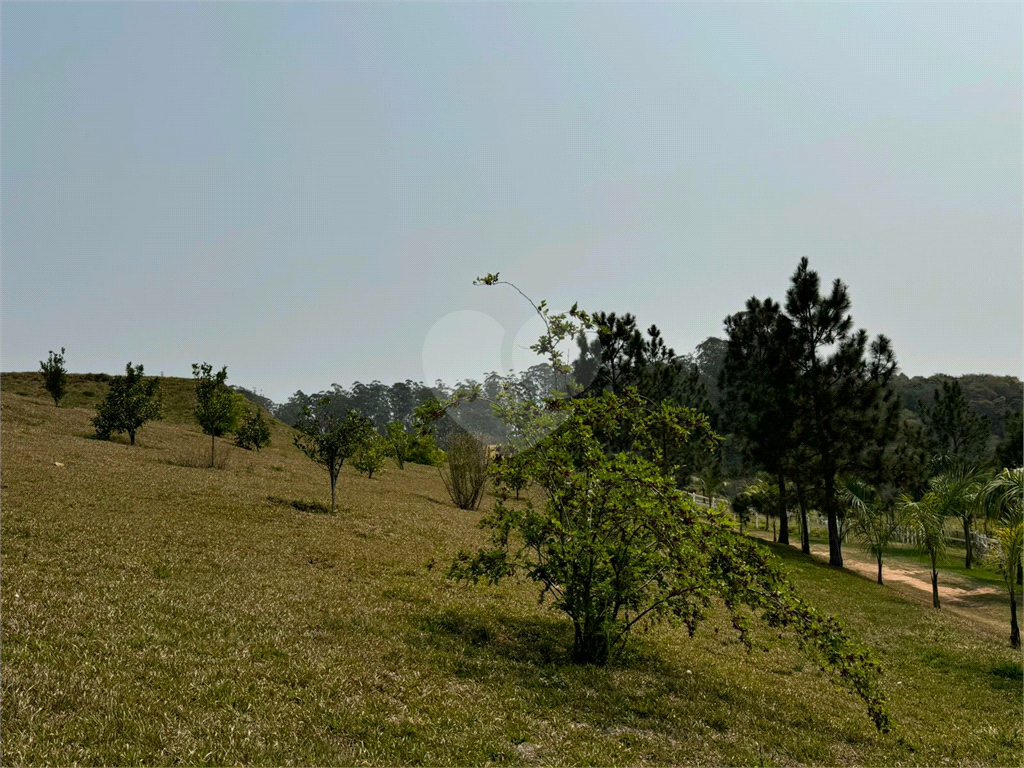 Sítio, 3 quartos, 5 hectares - Foto 6