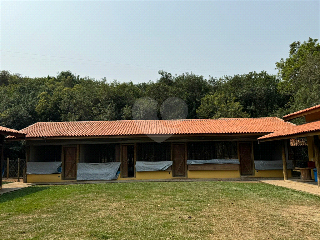 Sítio, 3 quartos, 5 hectares - Foto 13