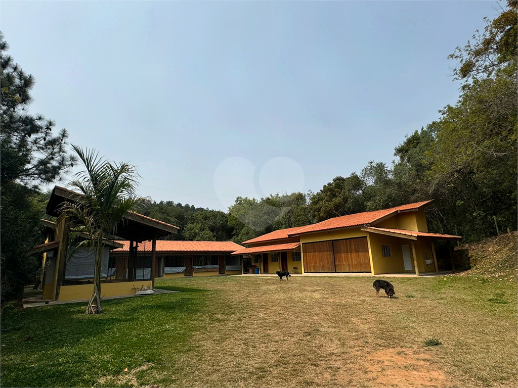 Sítio, 3 quartos, 5 hectares - Foto 11