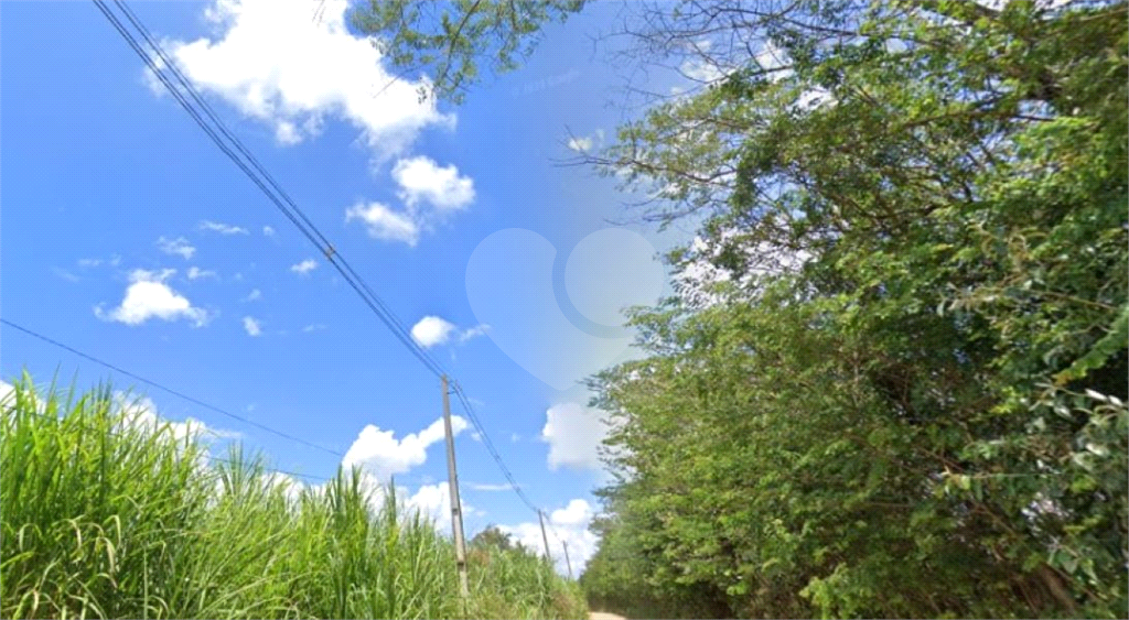 Terreno, 8919 m² - Foto 7