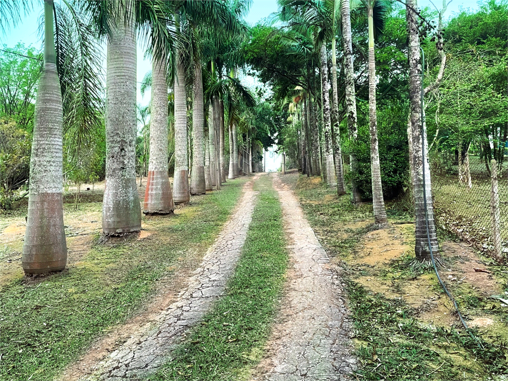 Fazenda à venda com 4 quartos, 400m² - Foto 21