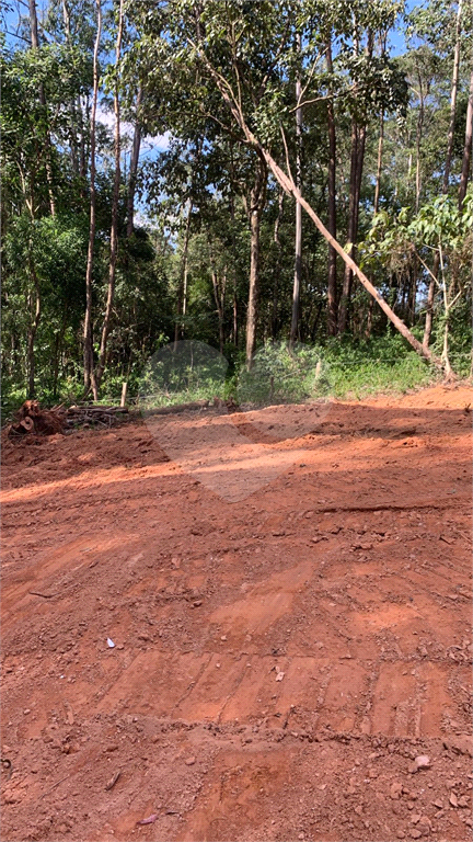 Terreno à venda, 1980m² - Foto 14