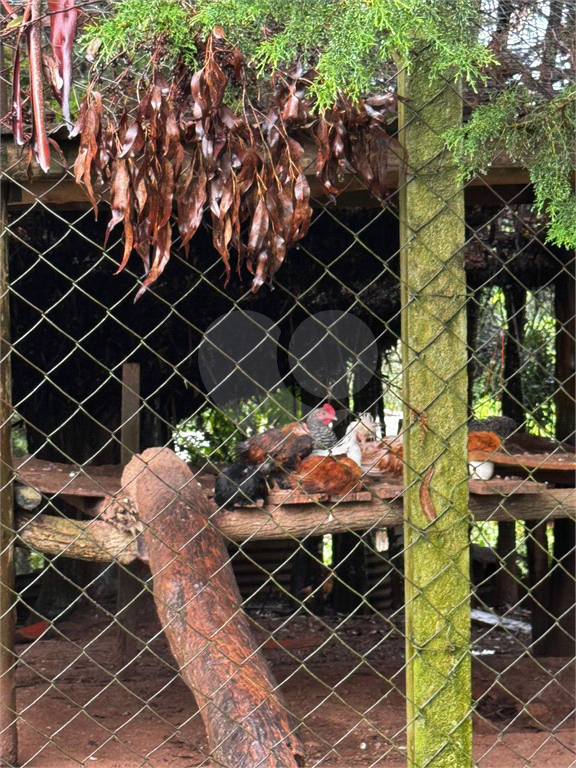 Chácara à venda com 7 quartos, 1500m² - Foto 80