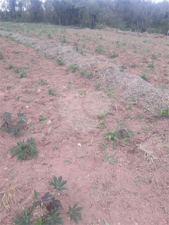 Terreno à venda, 35000m² - Foto 8