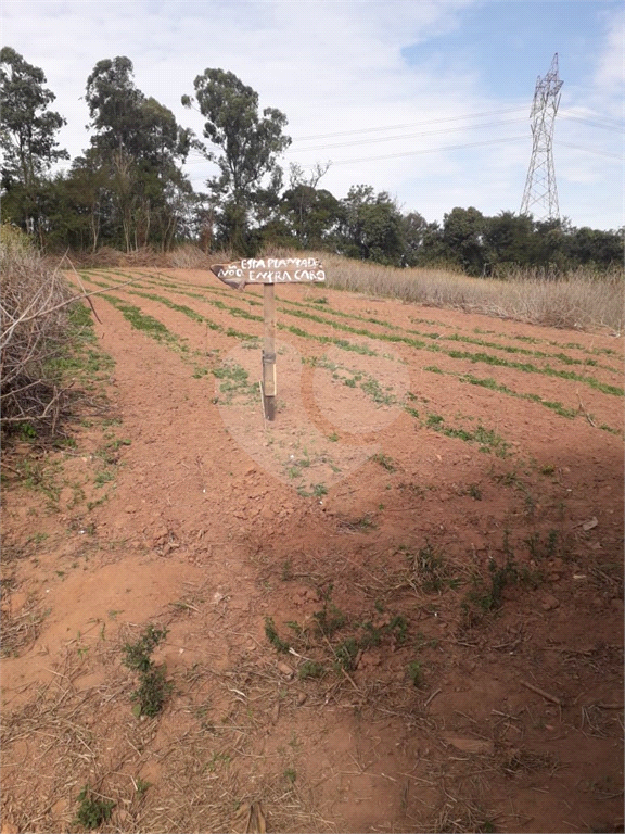 Terreno à venda, 35000m² - Foto 12