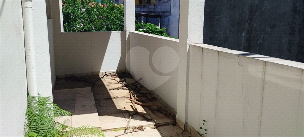 Terreno à venda com 1 quarto, 300m² - Foto 14