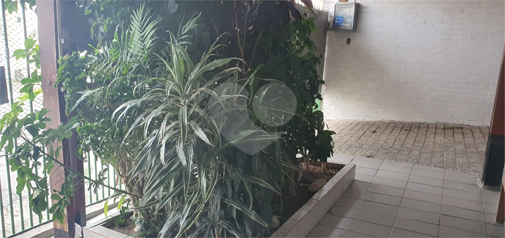 CASA TÉRREA em TUCURUVI