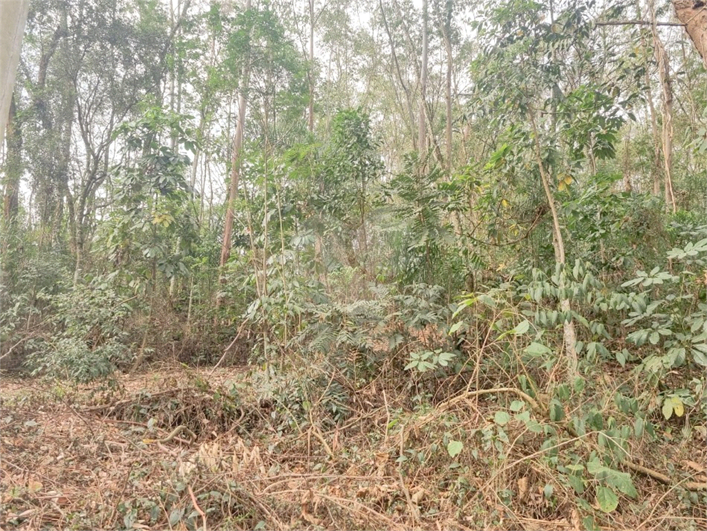 TERRENO em CAIXA D´ÁGUA