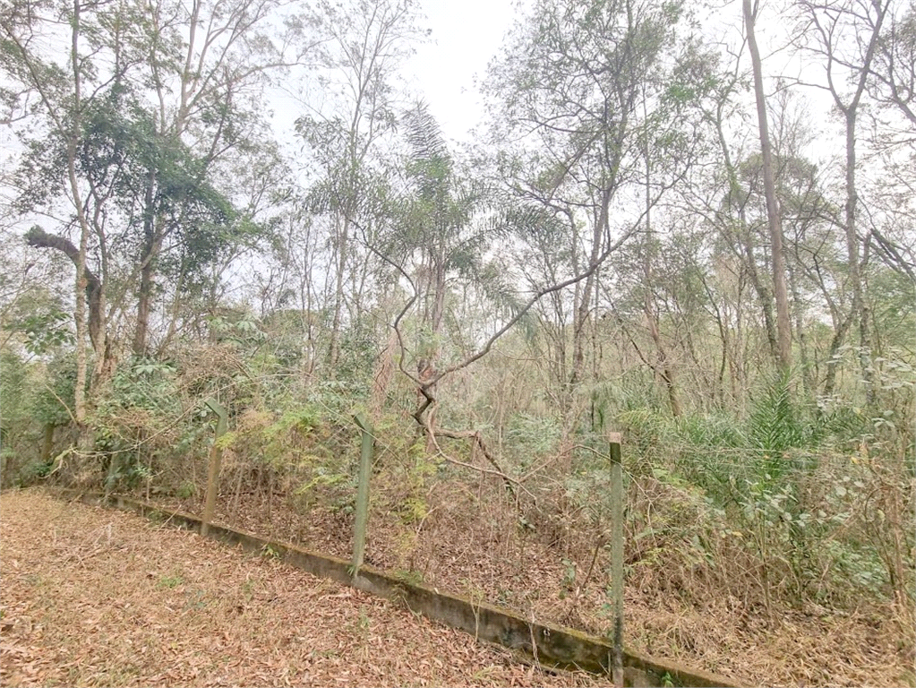 TERRENO em CAIXA D´ÁGUA