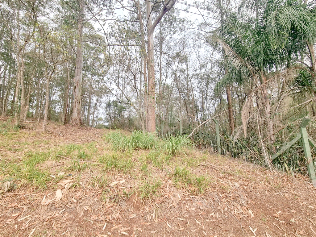 TERRENO em CAIXA D´ÁGUA
