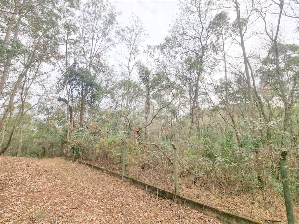 TERRENO em CAIXA D´ÁGUA