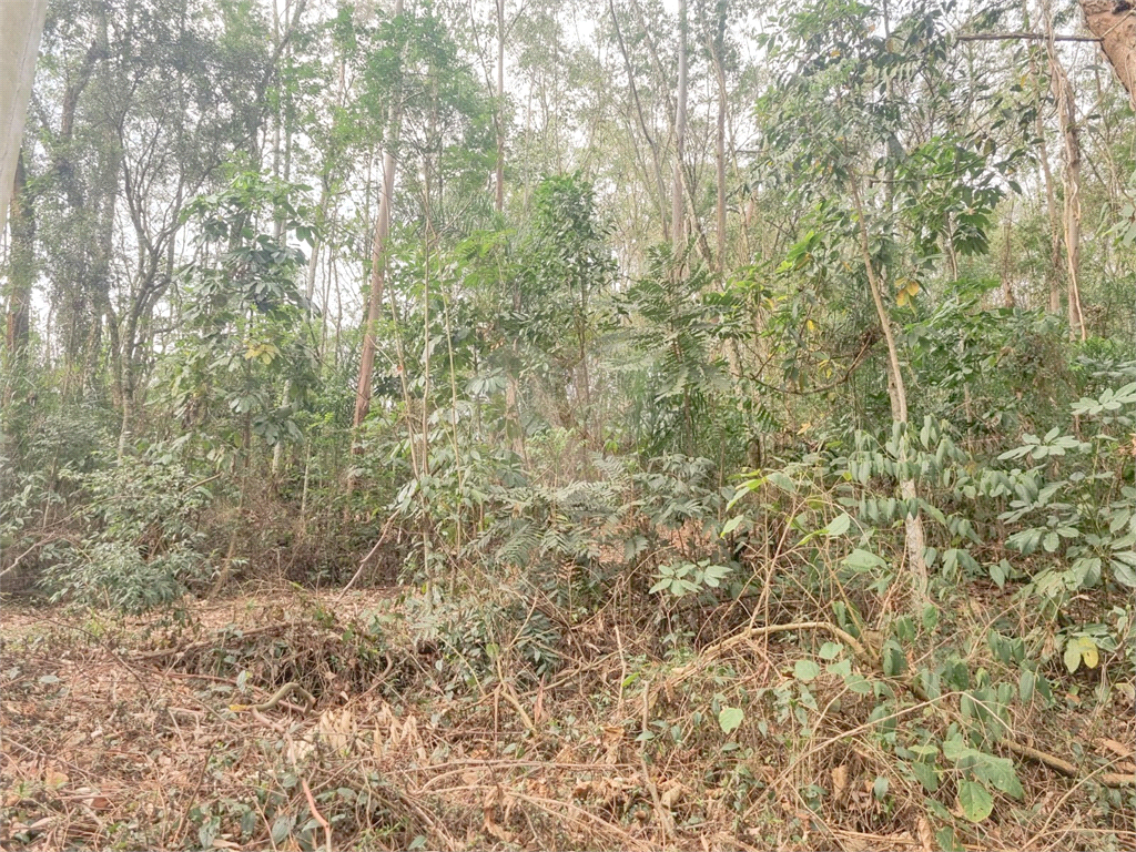 TERRENO em CAIXA D´ÁGUA