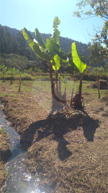 Fazenda à venda com 2 quartos, 110m² - Foto 14