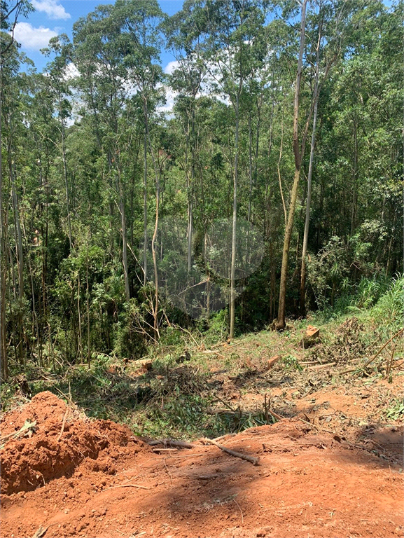 Terreno à venda, 680m² - Foto 3