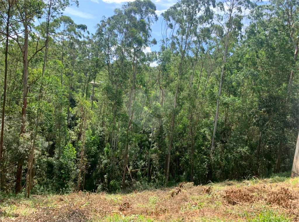 Terreno à venda, 680m² - Foto 11