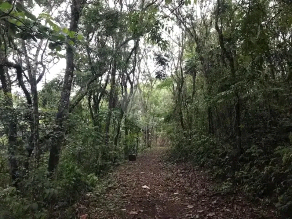 Chácara Com 2 Casas Na Serra Da Cantareira Com Mata e Rio Anexo