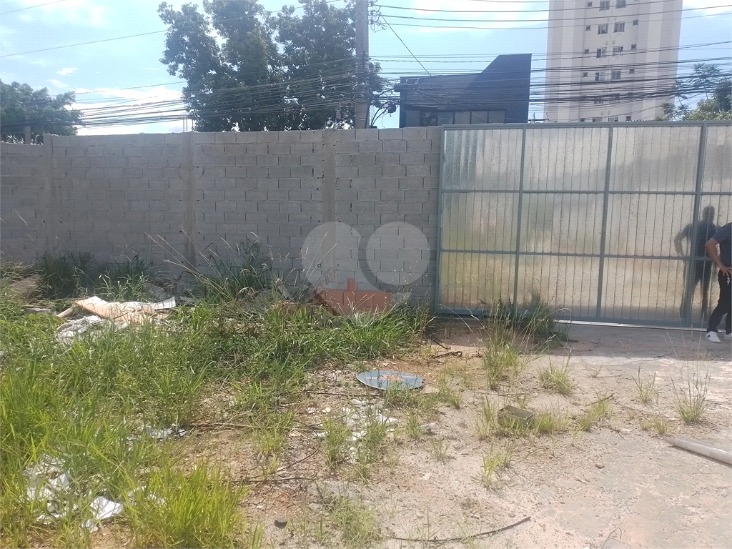 Terreno locação Tucuruvi 