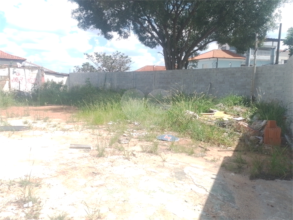 Terreno locação Tucuruvi 