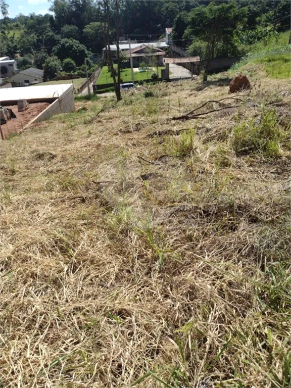 Terreno à venda, 1000m² - Foto 2
