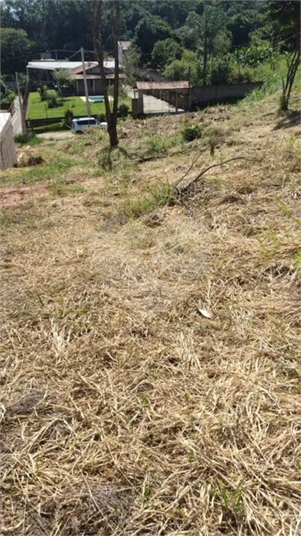 Terreno à venda, 1000m² - Foto 4