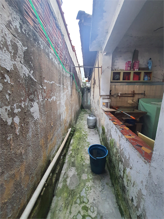 ASSOBRADADA  /  CACHOEIRINHA
