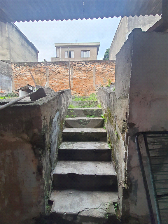 ASSOBRADADA  /  CACHOEIRINHA