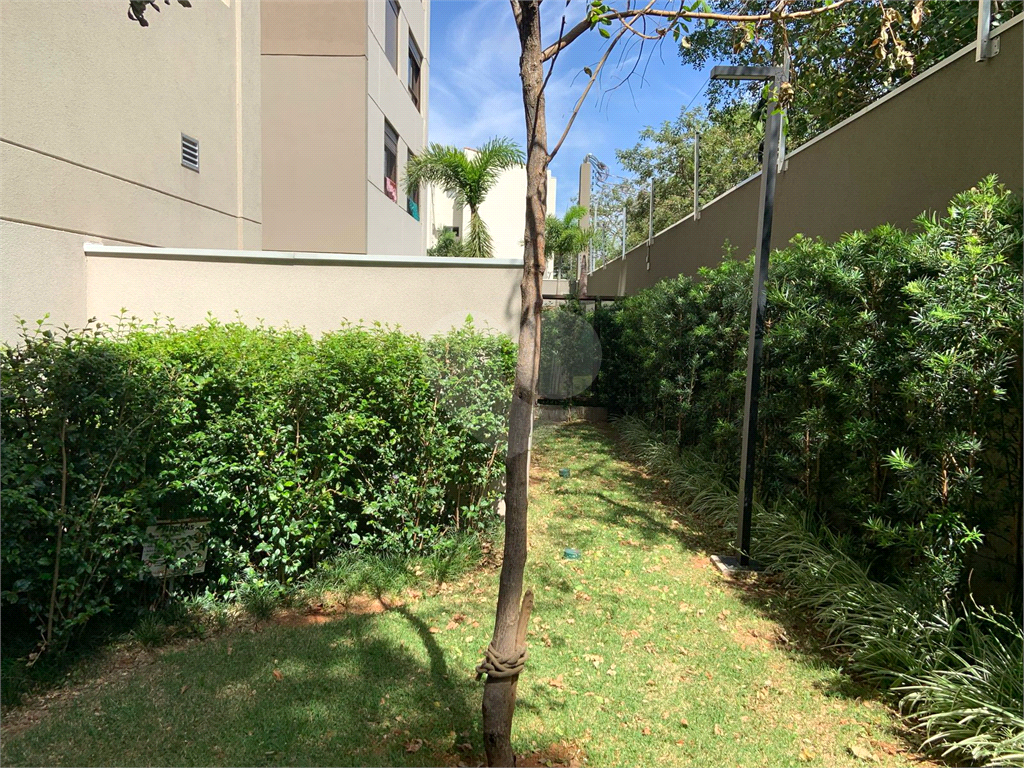 APARTAMENTO em ALTO DA LAPA