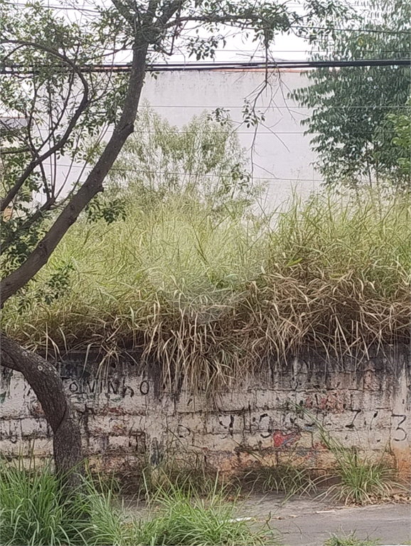 Terreno na rua Alcindo Bueno de Assis, localizada no bairro do Tucuruvi em São Paulo,