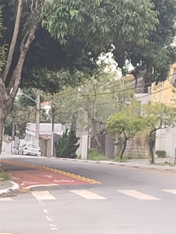Terreno na rua Alcindo Bueno de Assis, localizada no bairro do Tucuruvi em São Paulo,