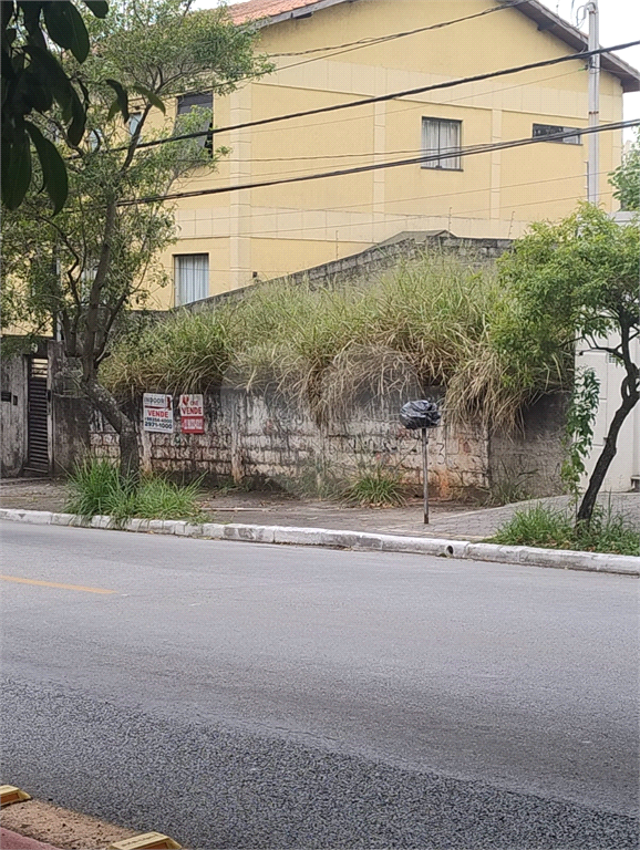 Terreno na rua Alcindo Bueno de Assis, localizada no bairro do Tucuruvi em São Paulo,
