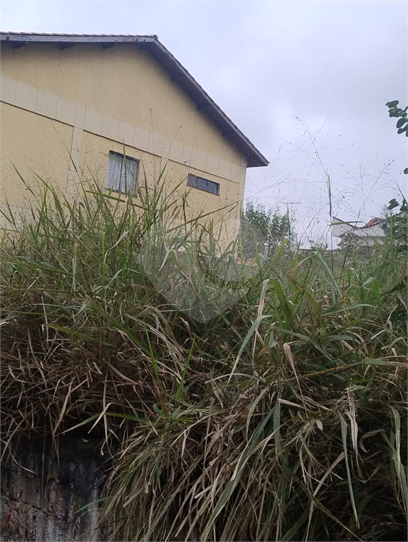Terreno na rua Alcindo Bueno de Assis, localizada no bairro do Tucuruvi em São Paulo,
