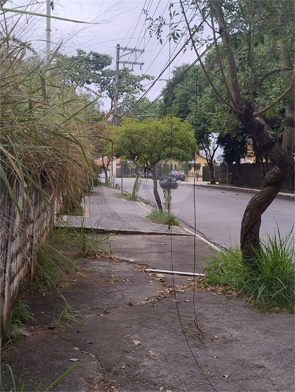 Terreno na rua Alcindo Bueno de Assis, localizada no bairro do Tucuruvi em São Paulo,