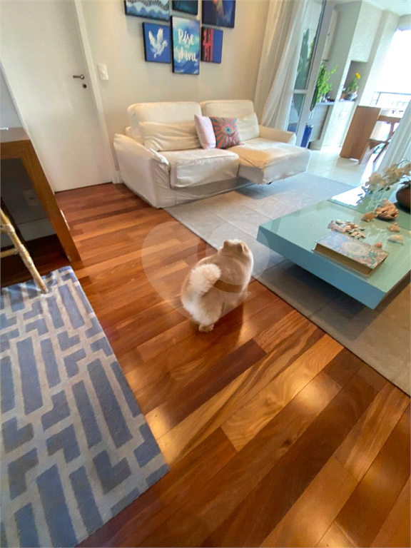 Apartamento à venda com varanda, vista incrível e lazer completo no condomínio
