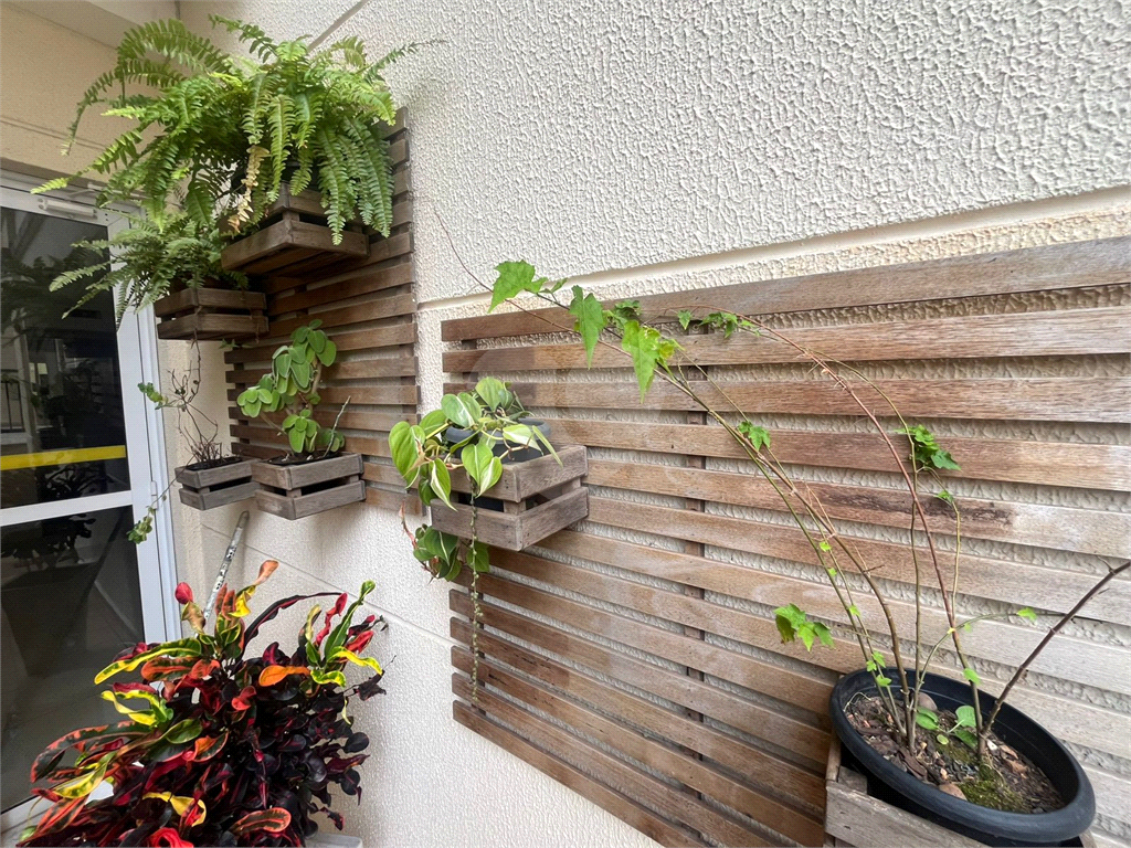 Apartamento - Venda - Parada Inglesa