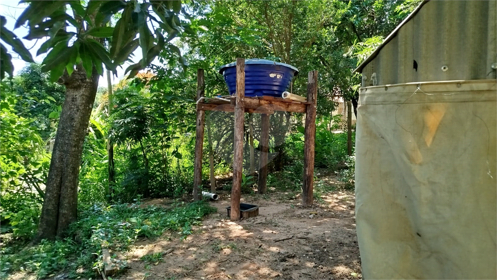 Fazenda para alugar com 3 quartos, 4000m² - Foto 4