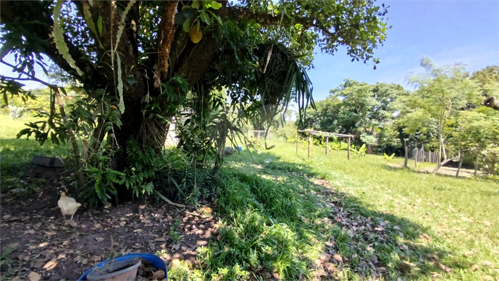 Fazenda para alugar com 3 quartos, 4000m² - Foto 10