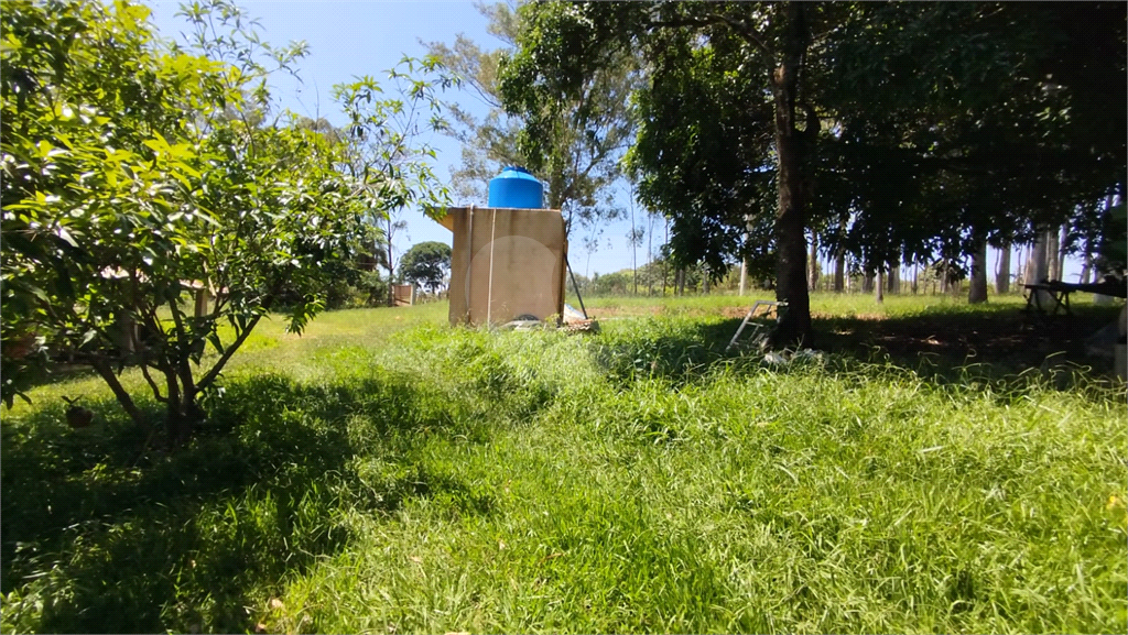 Fazenda para alugar com 3 quartos, 4000m² - Foto 16