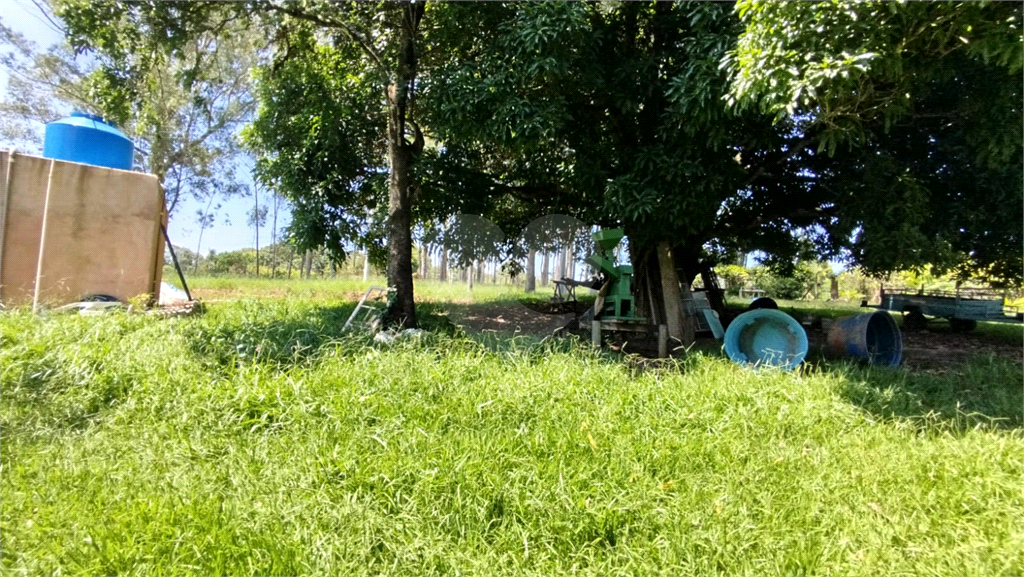 Fazenda para alugar com 3 quartos, 4000m² - Foto 13