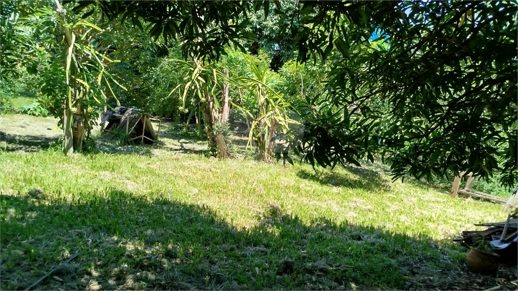 Fazenda para alugar com 3 quartos, 4000m² - Foto 7