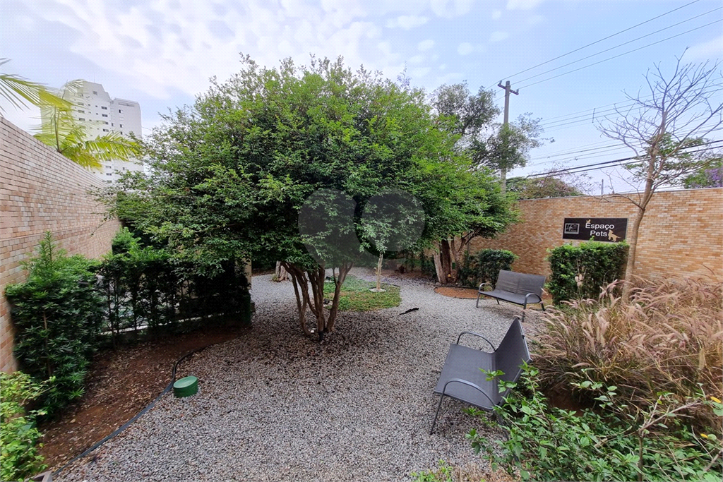 apartamento 5 quartos em Santa Terezinha