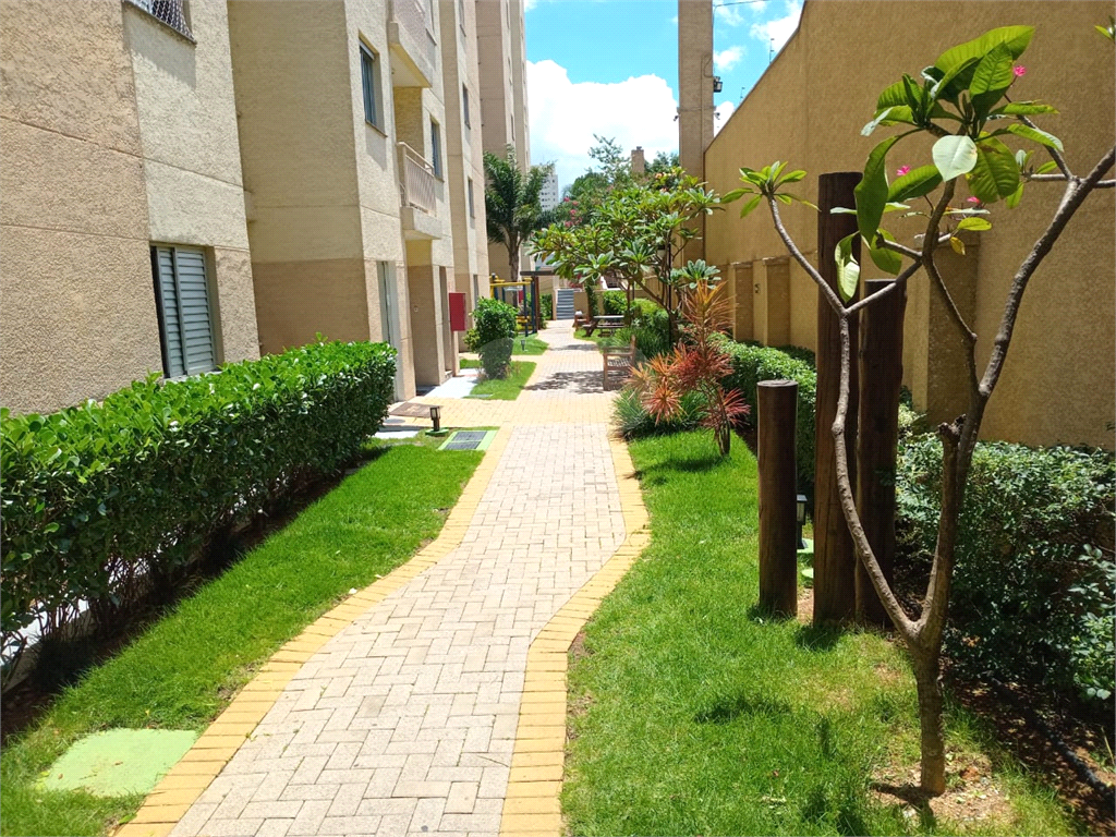 Apartamento Limão