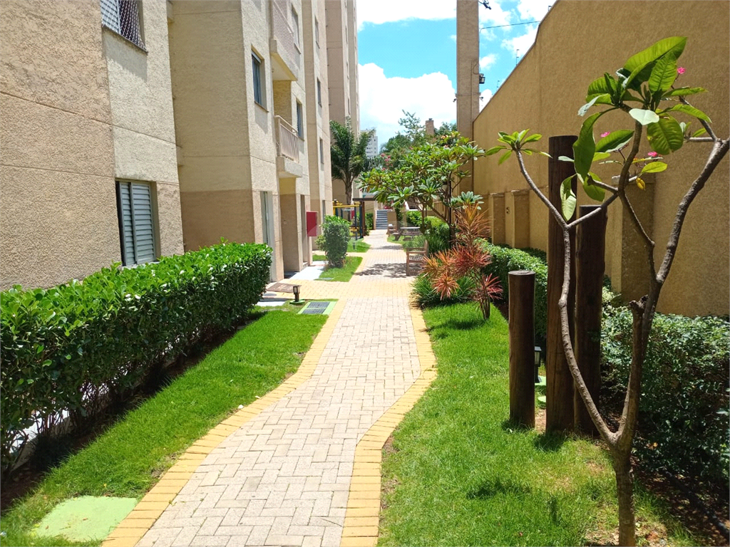 Apartamento Limão
